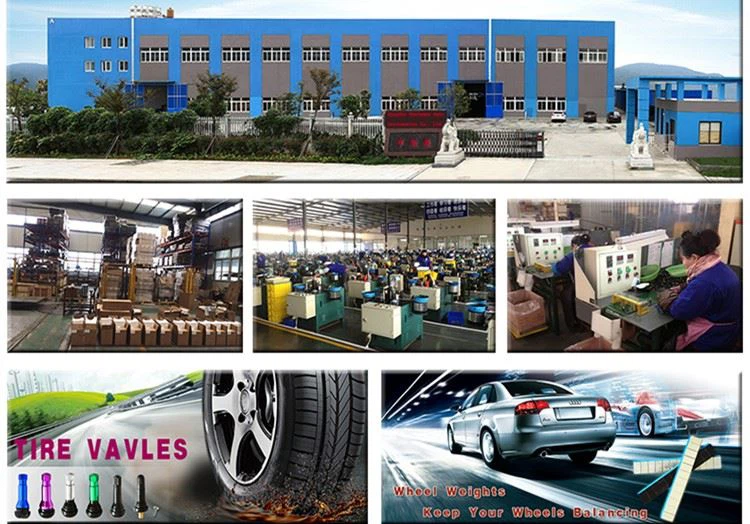 buy Tubeless tyre valve