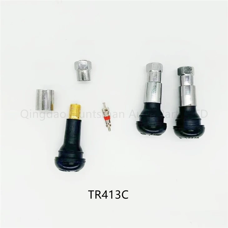 snap-in valve stem